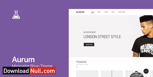 Aurum – Minimalist Shopping Theme