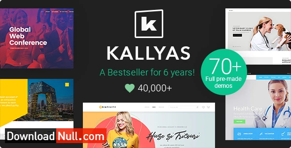 KALLYAS – Creative eCommerce Multi-Purpose WordPress Theme